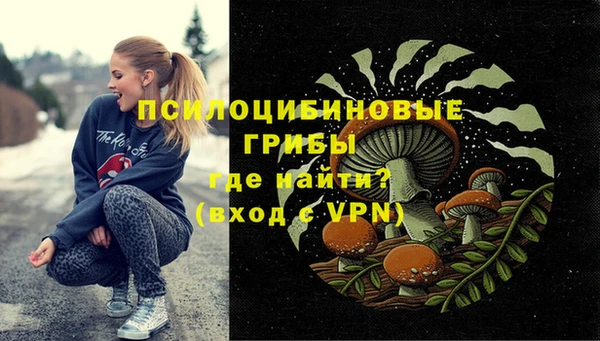 прущие грибы Россошь
