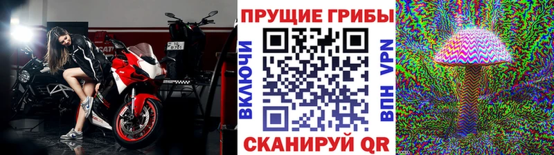 МЕГА как зайти Сольвычегодск Псилоцибиновые грибы Magic Shrooms