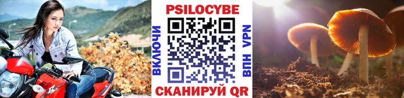 Псилоцибиновые грибы прущие грибы Сольвычегодск